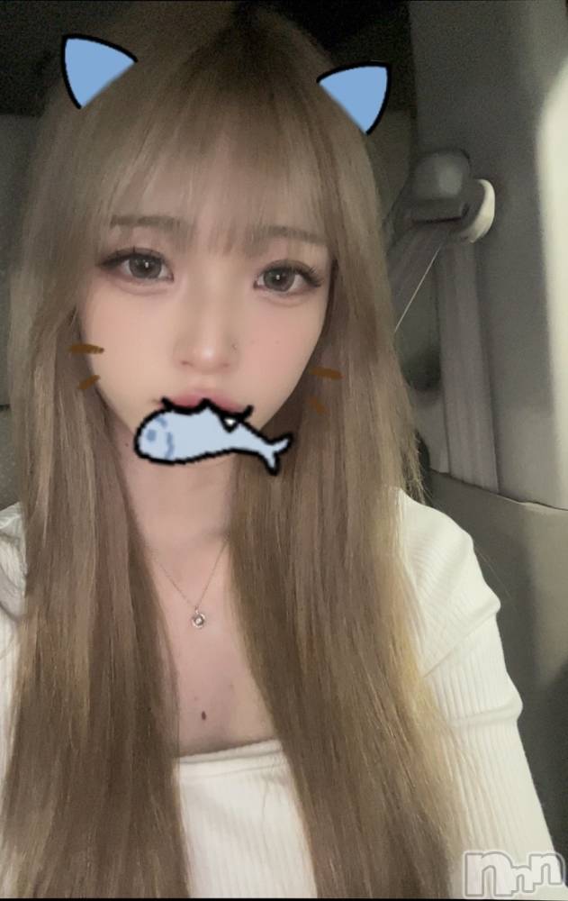 ܱХ顦֥ ץ ( ץ ޥĥ) ߤ줤74̥֥74 2037ʬΥ֥