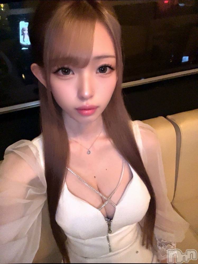 ܱХ顦֥ ץ ( ץ ޥĥ) ߤ줤103̥֥103 2117ʬΥ֥