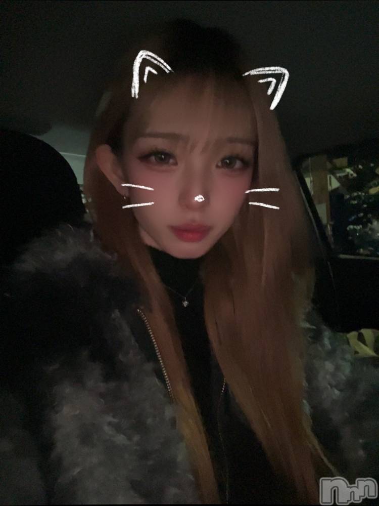 ܱХ顦֥ ץ ( ץ ޥĥ) ߤ줤1212̥֥1212 2153ʬΥ֥