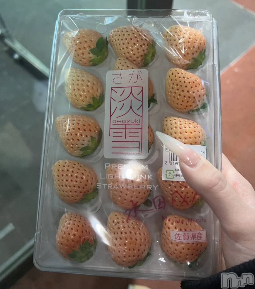 ���ܱ�������Х��顦����֥���� �ץ���� ����(����� �ץ���� �ޥĥ��) �ߤ줤��1��17���̥�֥�����1��17�� 21��26ʬ�Υ֥�����