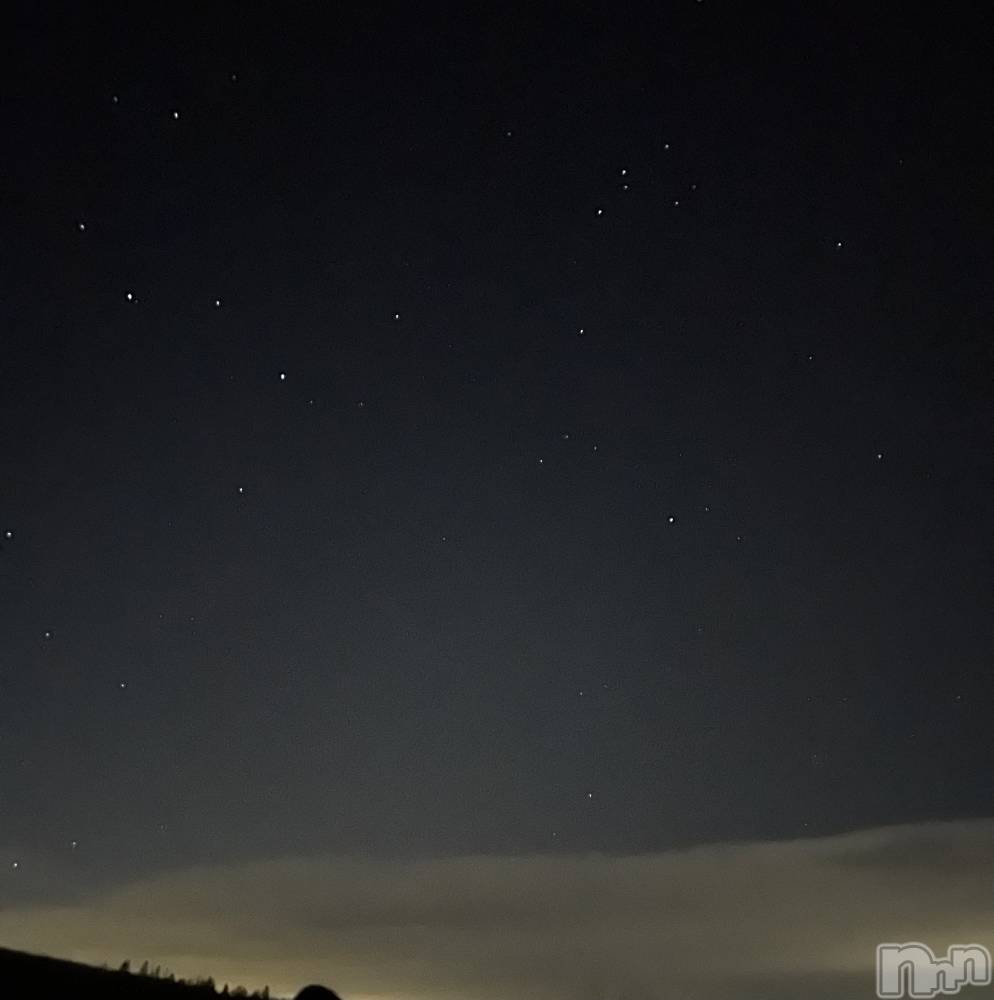 ���ܱ�������Х��顦����֥���� �ץ���� ����(����� �ץ���� �ޥĥ��) �ߤ줤��1��23���̥�֥�����𖤐��