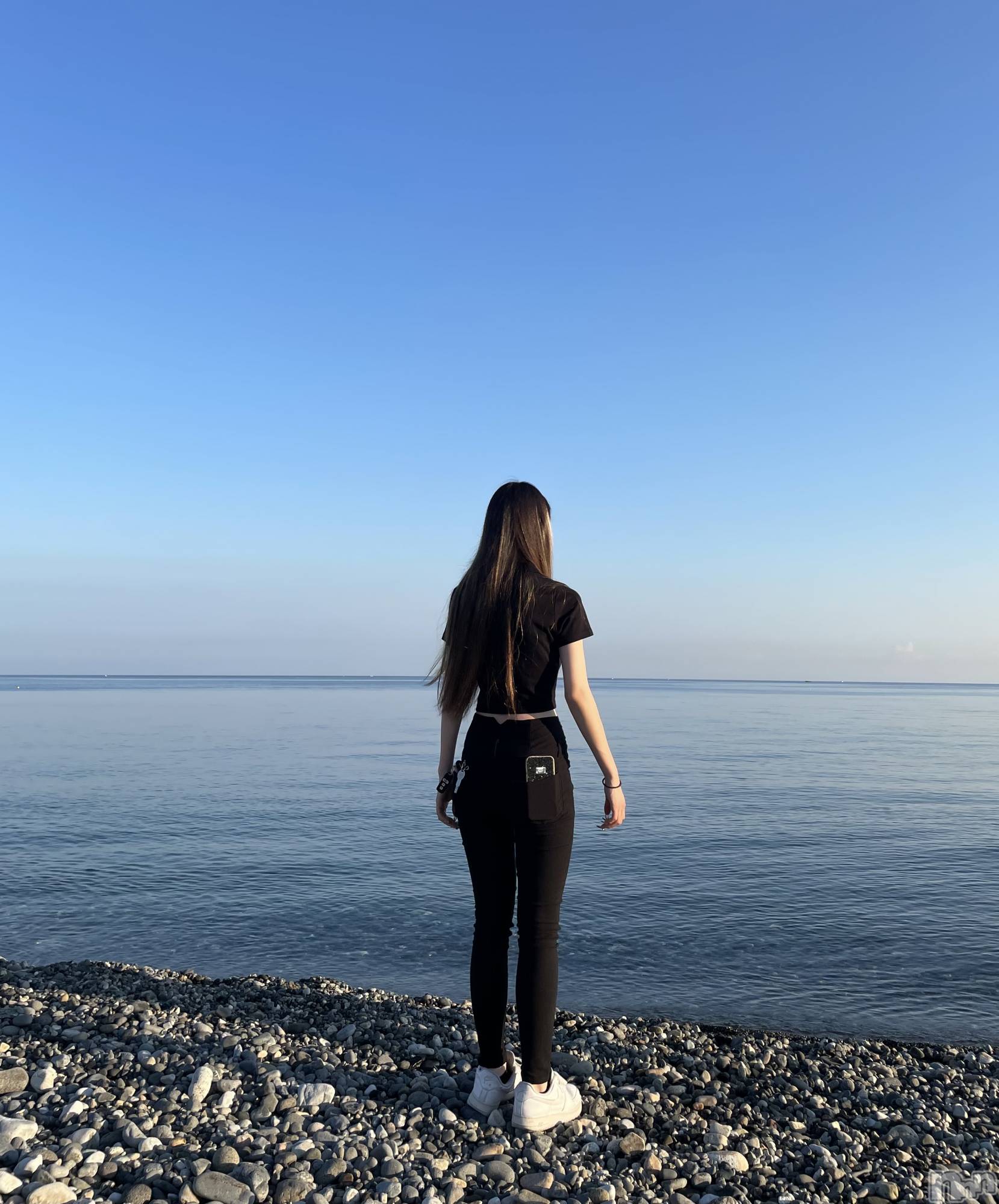 ܱХ顦֥ ץ ( ץ ޥĥ) 2024ǯ89̥֥🌊