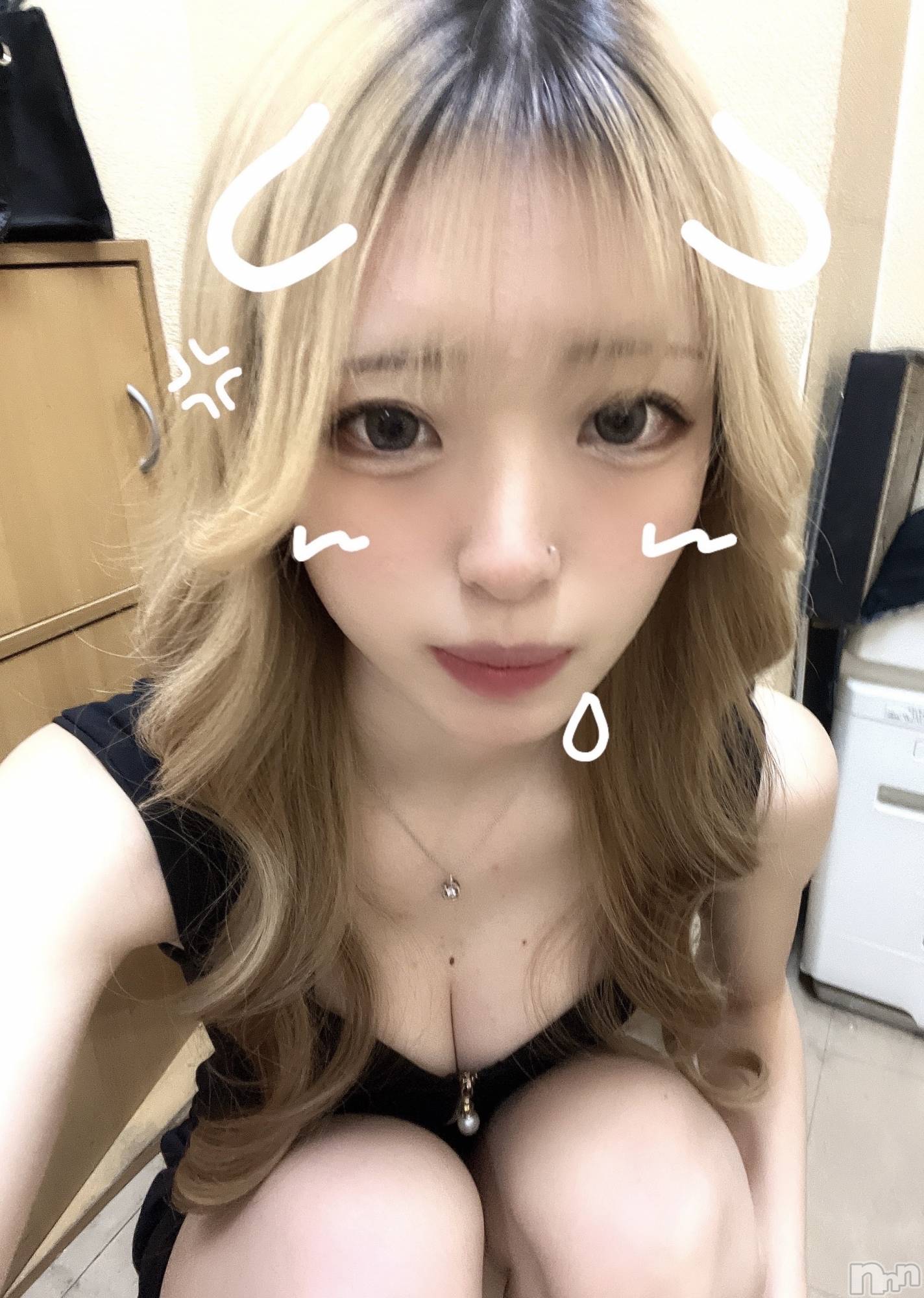 ܱХ顦֥ ץ ( ץ ޥĥ) 2024ǯ127̥֥127 1952ʬΥ֥