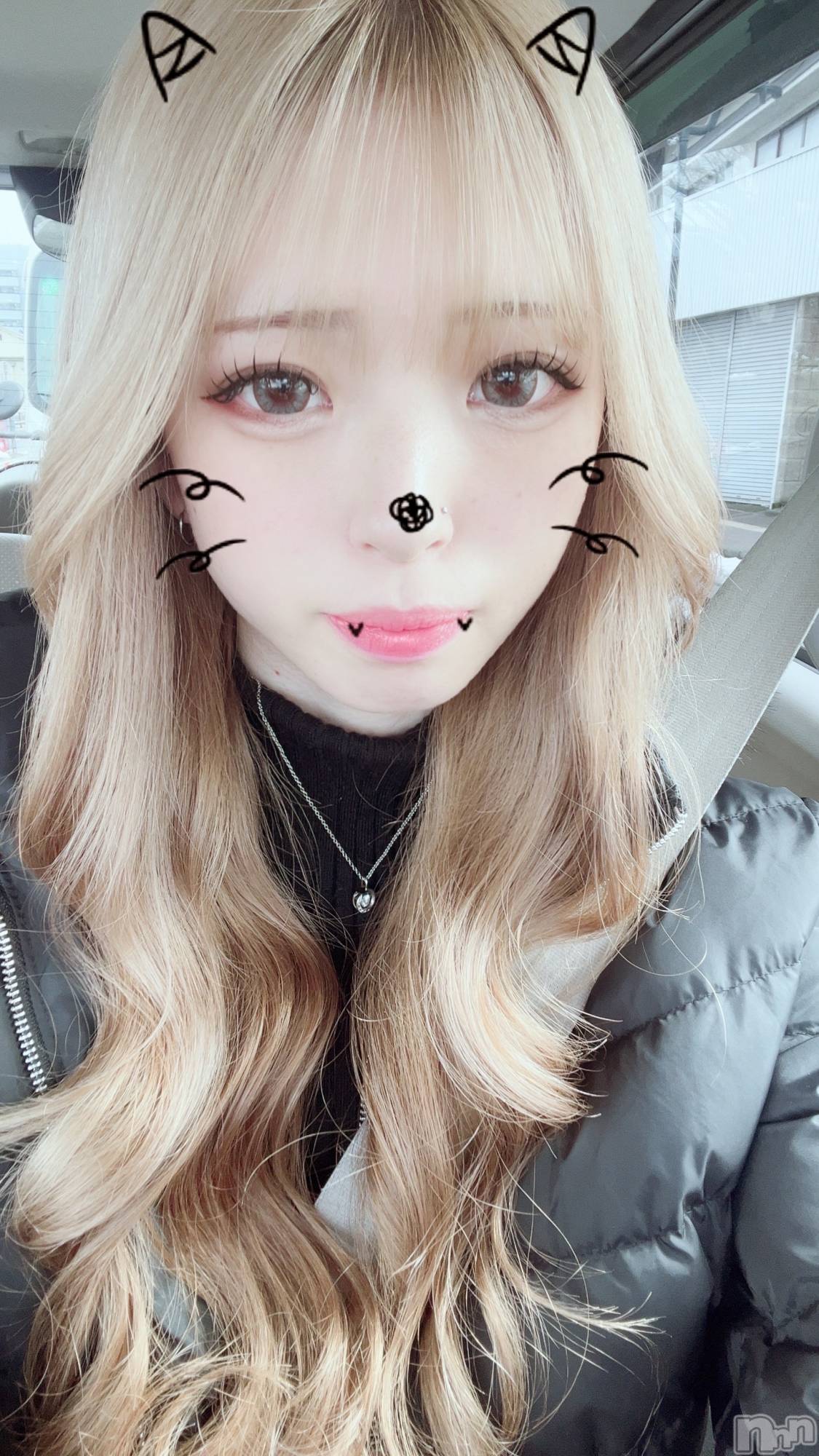 ܱХ顦֥ ץ ( ץ ޥĥ) 2025ǯ314̥֥314 2024ʬΥ֥