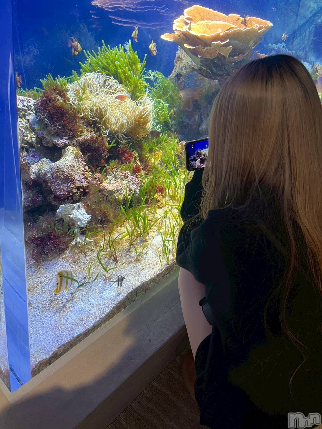 ܱХ顦֥ ץ ( ץ ޥĥ) 2025ǯ1126̥֥1126 2111ʬΥ֥