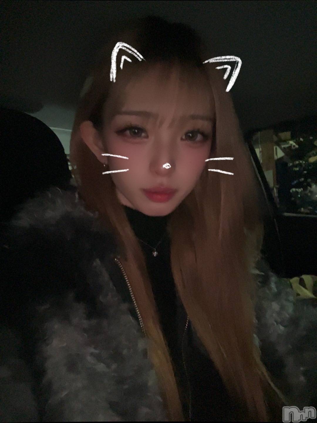 ܱХ顦֥ ץ ( ץ ޥĥ) 2025ǯ1212̥֥1212 2153ʬΥ֥