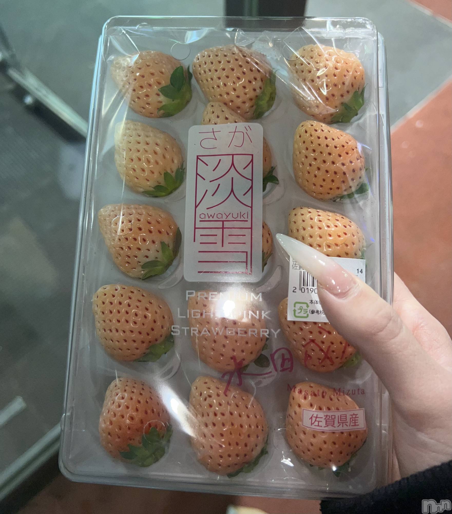 ���ܱ�������Х��顦����֥���� �ץ���� ����(����� �ץ���� �ޥĥ��) ��2026ǯ1��17���̥�֥�����1��17�� 21��26ʬ�Υ֥�����