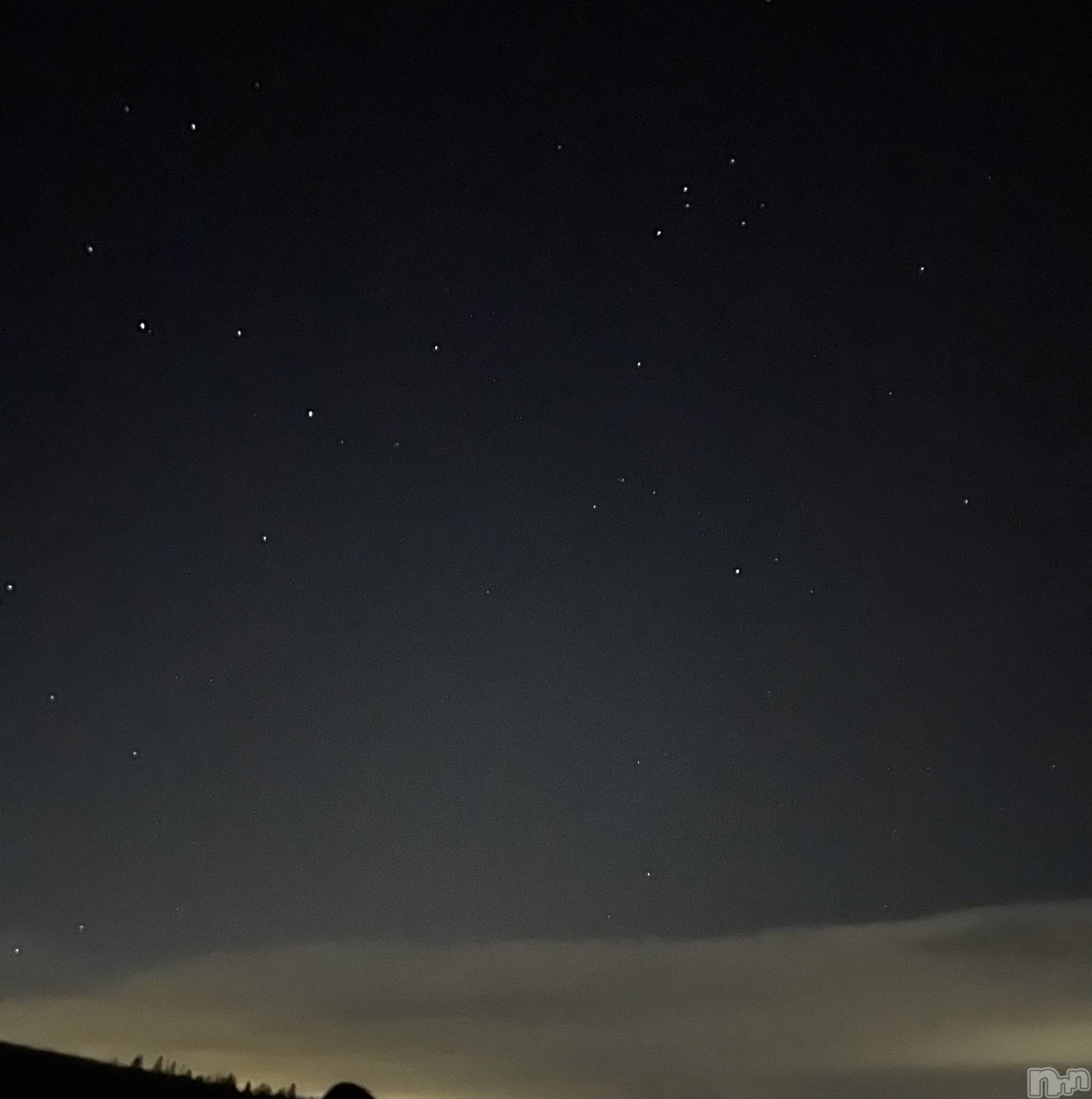 ���ܱ�������Х��顦����֥���� �ץ���� ����(����� �ץ���� �ޥĥ��) ��2026ǯ1��23���̥�֥�����𖤐��