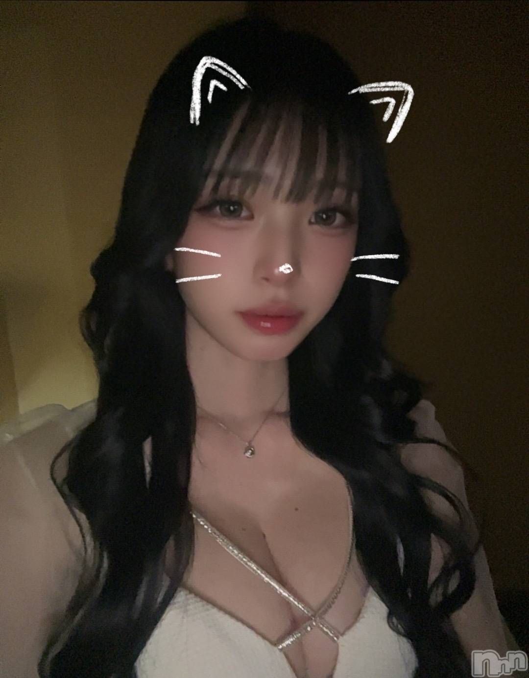 ���ܱ�������Х��顦����֥���� �ץ���� ����(����� �ץ���� �ޥĥ��) ��2026ǯ2��3���̥�֥�����2��3�� 21��41ʬ�Υ֥�����