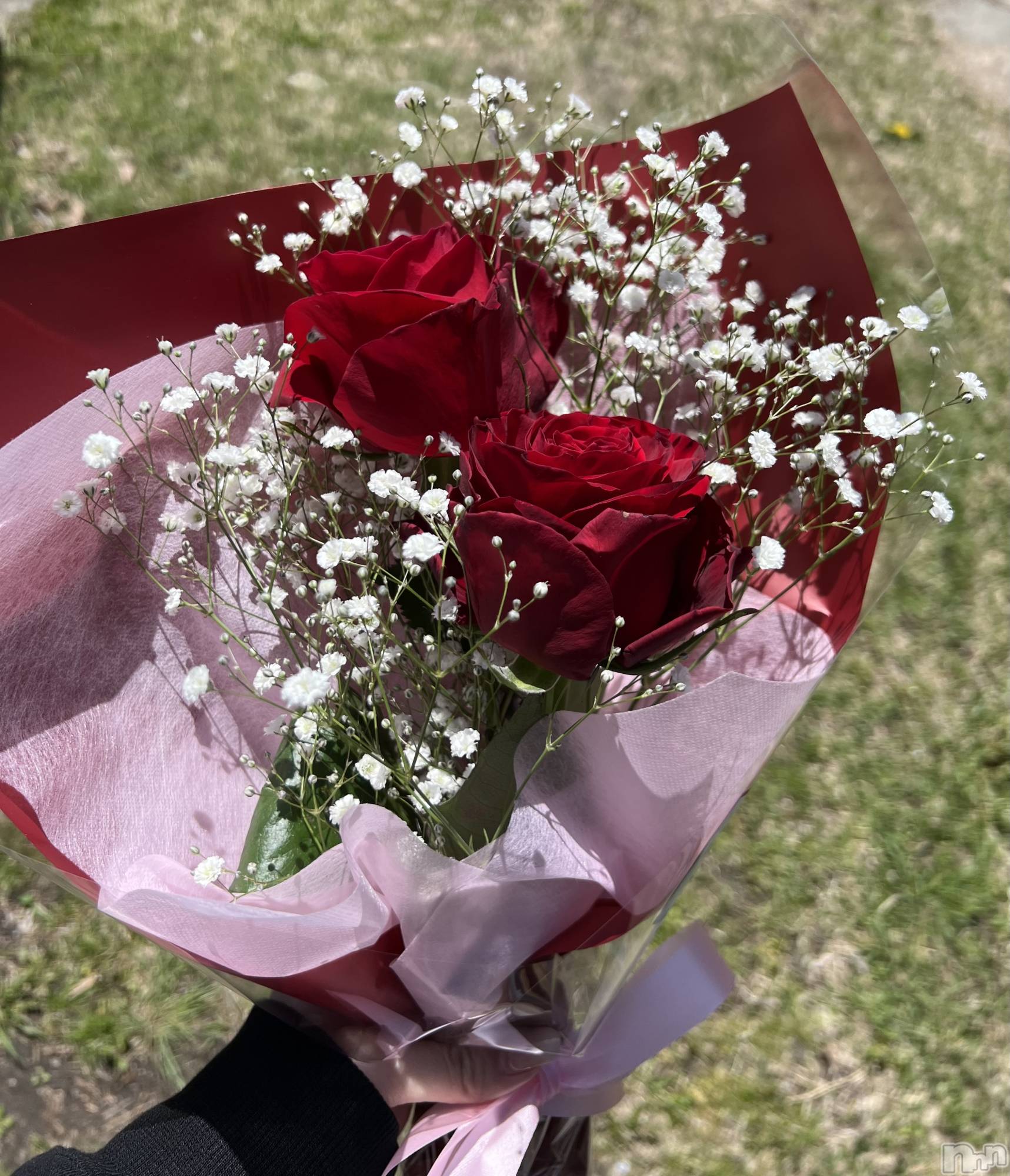 ���ܱ�������Х��顦����֥���� �ץ���� ����(����� �ץ���� �ޥĥ��) ��2026ǯ4��15���̥�֥�����4��15�� 22��17ʬ�Υ֥�����