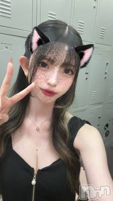 ܱХ顦֥ ץ ( ץ ޥĥ) ߤ줤(22)79̥֥79 2114ʬΥ֥