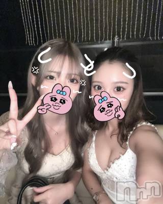 ܱХ顦֥ ץ ( ץ ޥĥ) ߤ줤(22)1016̥֥1016 2038ʬΥ֥