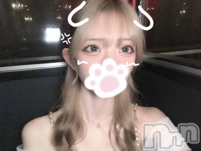 ܱХ顦֥ ץ ( ץ ޥĥ) ߤ줤(22)1023̥֥1023 2037ʬΥ֥
