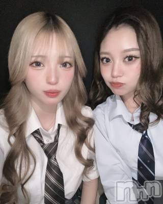 ܱХ顦֥ ץ ( ץ ޥĥ) ߤ줤(22)117̥֥117 2211ʬΥ֥