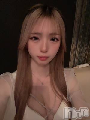 ܱХ顦֥ ץ ( ץ ޥĥ) ߤ줤(22)212̥֥212 1951ʬΥ֥