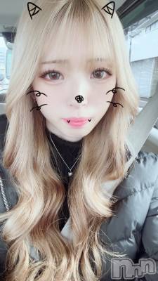 ܱХ顦֥ ץ ( ץ ޥĥ) ߤ줤(22)314̥֥314 2024ʬΥ֥