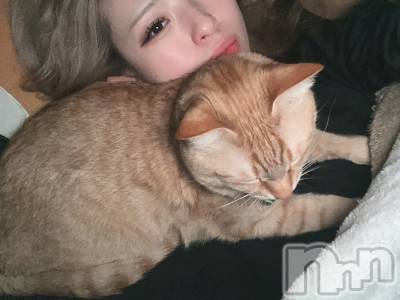 ܱХ顦֥ ץ ( ץ ޥĥ) ߤ줤(22)521̥֥521 2113ʬΥ֥
