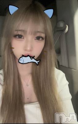 ܱХ顦֥ ץ ( ץ ޥĥ) ߤ줤(22)74̥֥74 2037ʬΥ֥