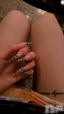 ܱХ顦֥ ץ ( ץ ޥĥ) ߤ줤(22)104̥֥104 2256ʬΥ֥