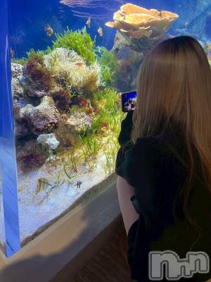 ���ܱ�������Х��顦����֥���� �ץ���� ����(����� �ץ���� �ޥĥ��) �ߤ줤(23)��11��26���̥�֥�����11��26�� 21��11ʬ�Υ֥�����