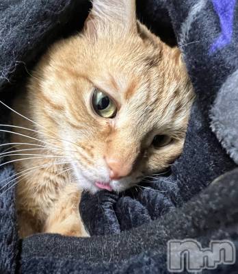 ���ܱ�������Х��顦����֥���� �ץ���� ����(����� �ץ���� �ޥĥ��) �ߤ줤(23)��1��9���̥�֥�����1��9�� 23��05ʬ�Υ֥�����