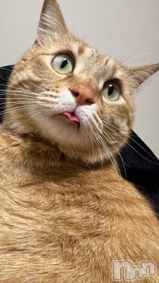 ���ܱ�������Х��顦����֥���� �ץ���� ����(����� �ץ���� �ޥĥ��) �ߤ줤(23)��2��24���̥�֥�����2��24�� 21��52ʬ�Υ֥�����