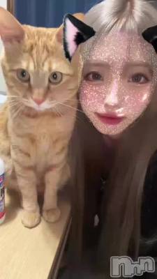 1030 2301ʬΥ֥