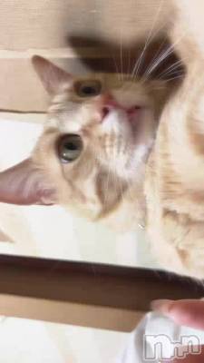731 2128ʬΥ֥