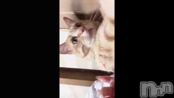 731 2128ʬΥ֥