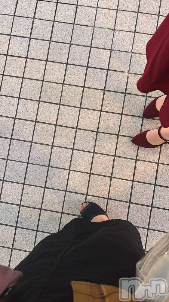 ܱХ顦֥ ץ ( ץ ޥĥ) 1021̥֥👠👡