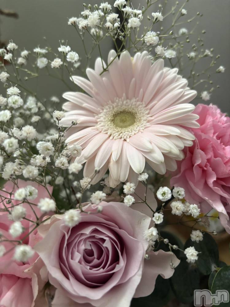 ܱХ顦֥ ץ ( ץ ޥĥ) 421̥֥🌸