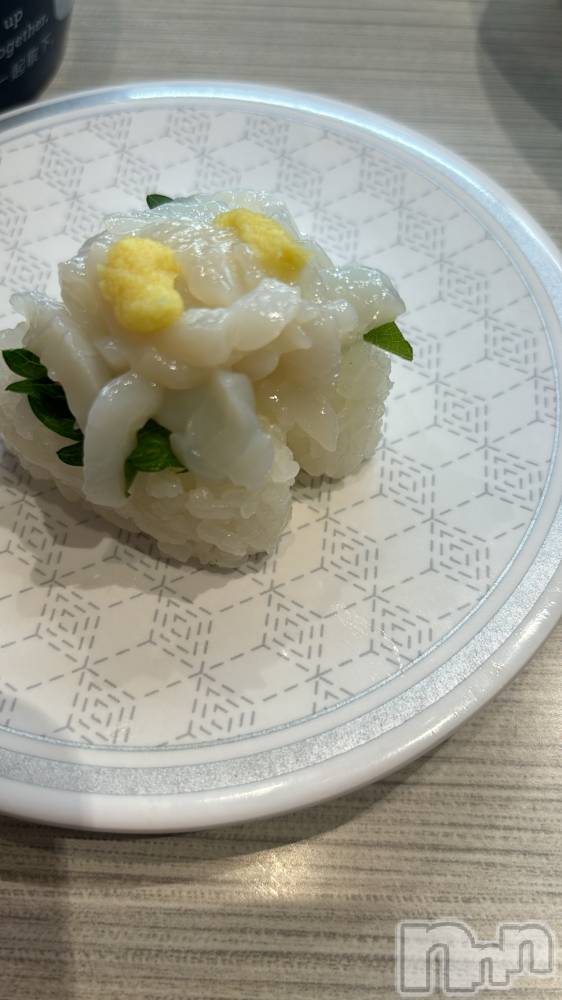 ���ܱ�������Х��顦����֥���� �ץ���� ����(����� �ץ���� �ޥĥ��) ������12��23���̥�֥�����🦑��