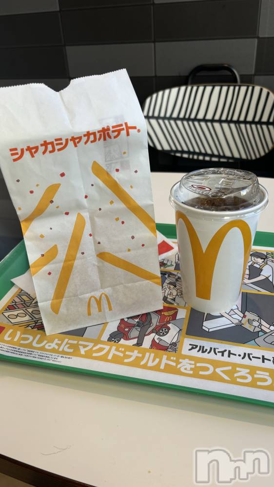 ���ܱ�������Х��顦����֥���� �ץ���� ����(����� �ץ���� �ޥĥ��) ������1��7���̥�֥�����🍟��