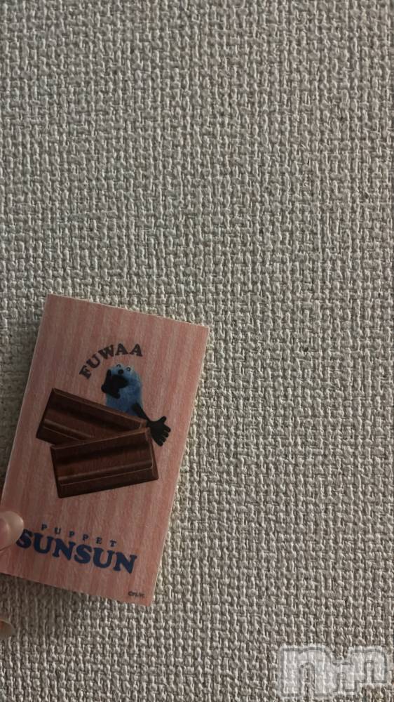 ���ܱ�������Х��顦����֥���� �ץ���� ����(����� �ץ���� �ޥĥ��) ������1��10���̥�֥�����🧸��