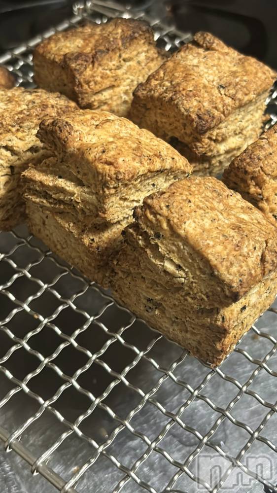 ���ܱ�������Х��顦����֥���� �ץ���� ����(����� �ץ���� �ޥĥ��) ������2��2���̥�֥�����🍳��