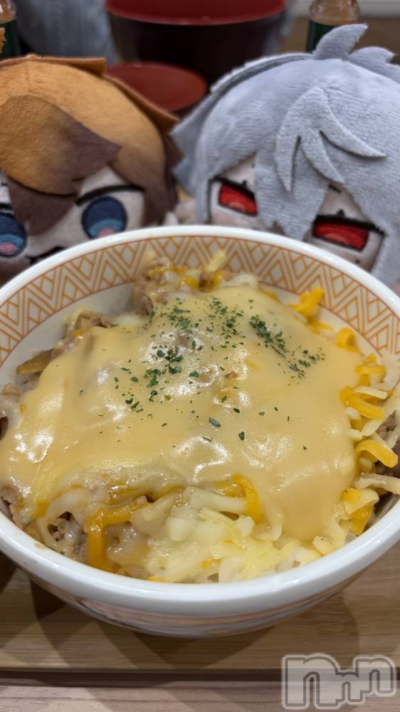 ���ܱ�������Х��顦����֥���� �ץ���� ����(����� �ץ���� �ޥĥ��) ������3��30���̥�֥�����🧀��