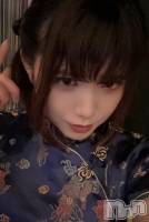 ܱХ顦֥ ץ ( ץ ޥĥ) 1125̥֥🥻