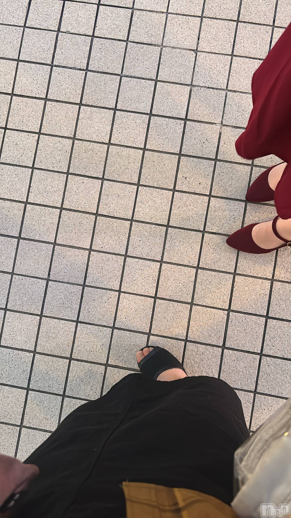 ܱХ顦֥ ץ ( ץ ޥĥ) 2024ǯ1021̥֥👠👡