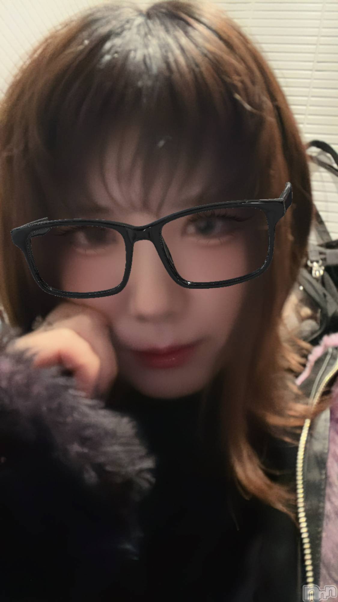 ܱХ顦֥ ץ ( ץ ޥĥ) 2025ǯ311̥֥🟣