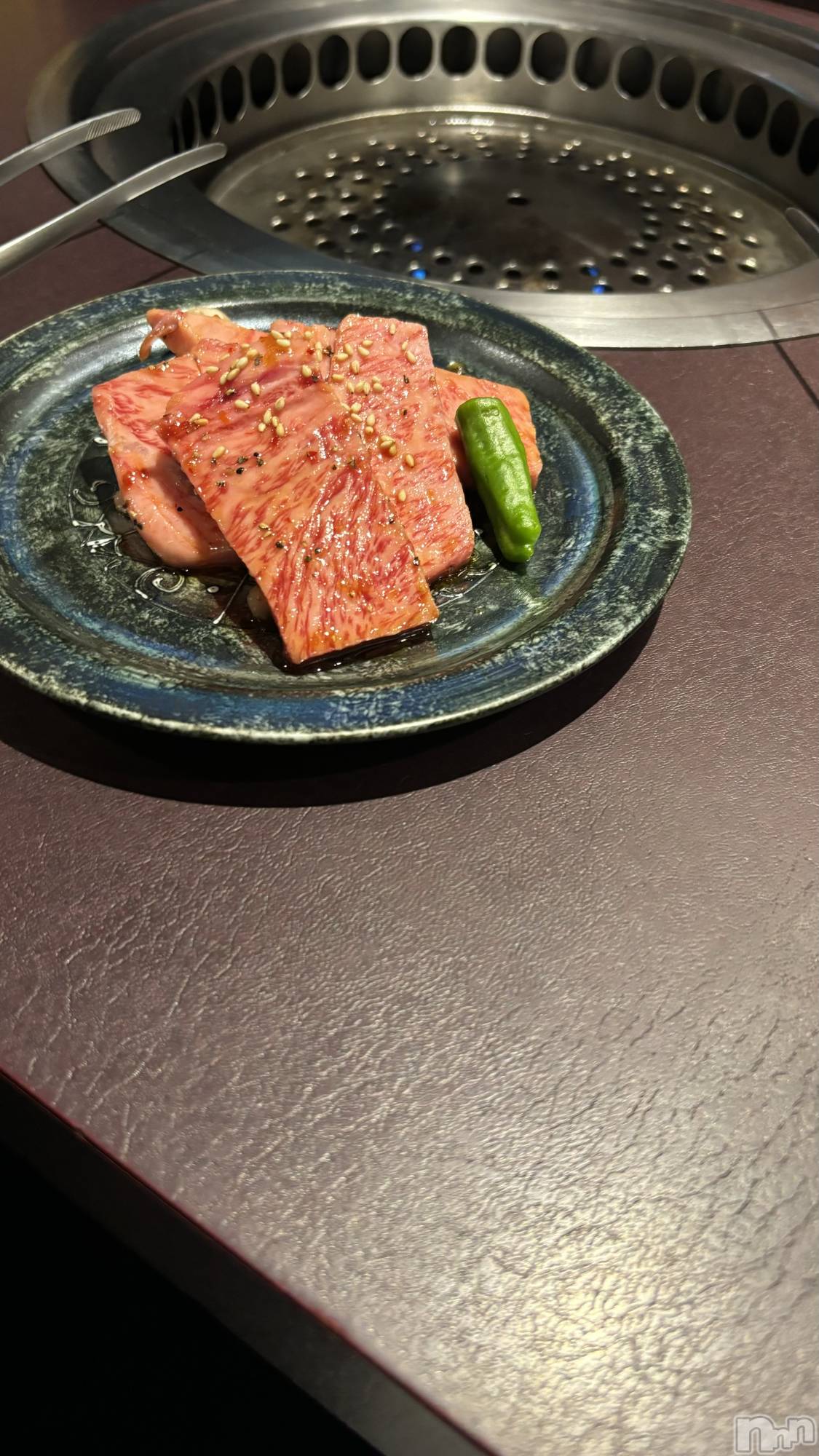 ܱХ顦֥ ץ ( ץ ޥĥ) 2025ǯ47̥֥🥩