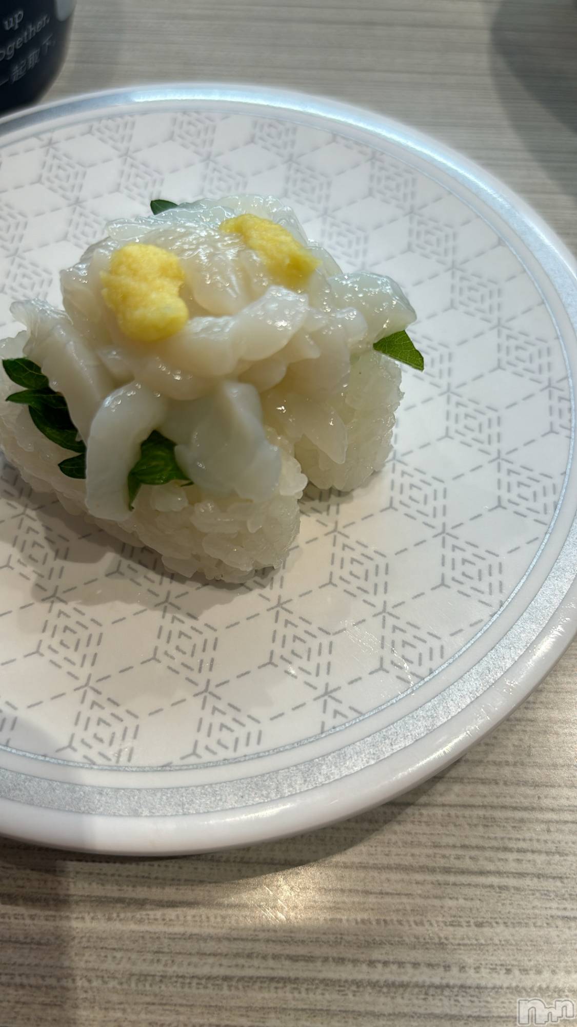 ���ܱ�������Х��顦����֥���� �ץ���� ����(����� �ץ���� �ޥĥ��) ��2025ǯ12��23���̥�֥�����🦑��