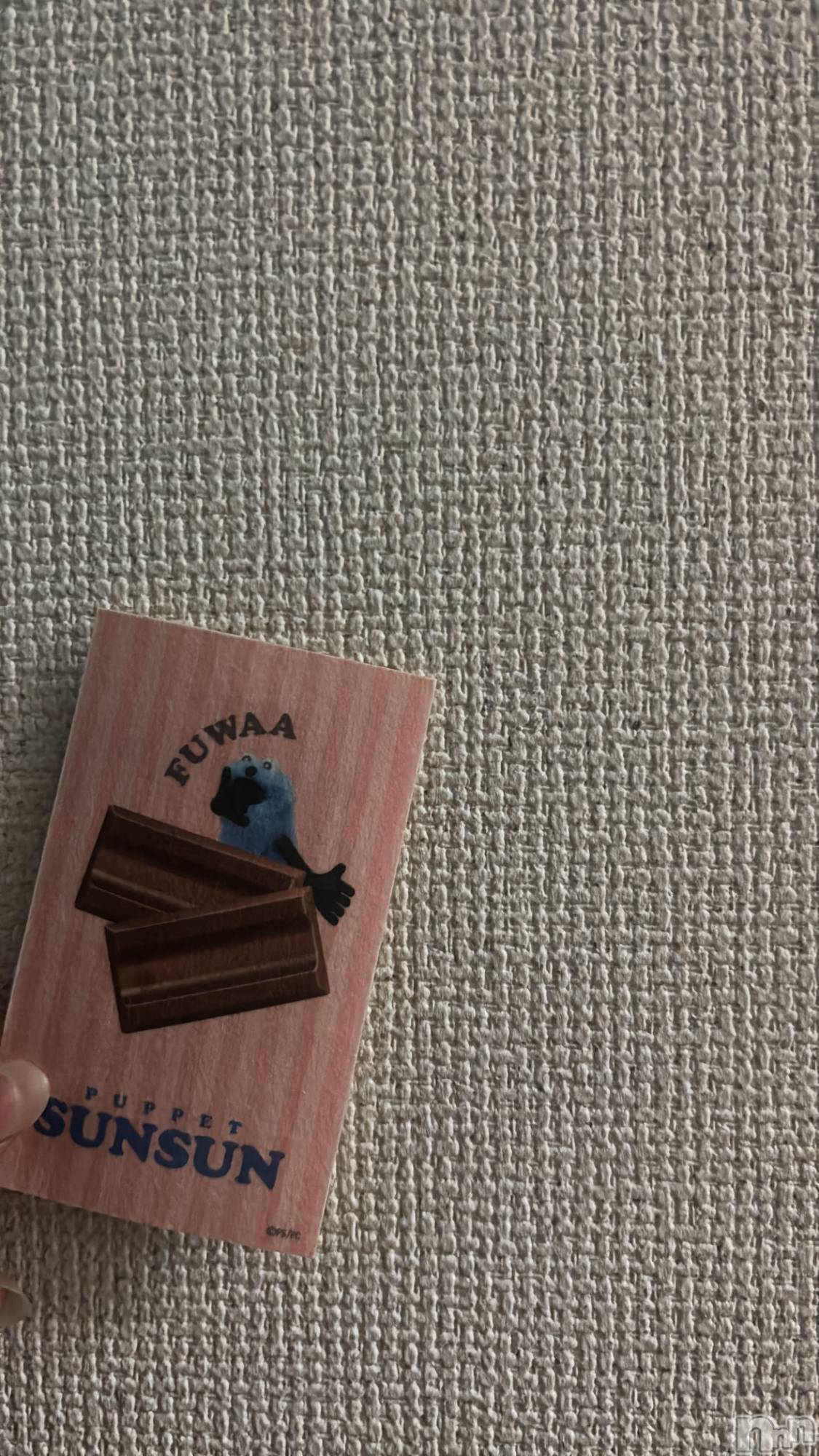 ���ܱ�������Х��顦����֥���� �ץ���� ����(����� �ץ���� �ޥĥ��) ��2026ǯ1��10���̥�֥�����🧸��