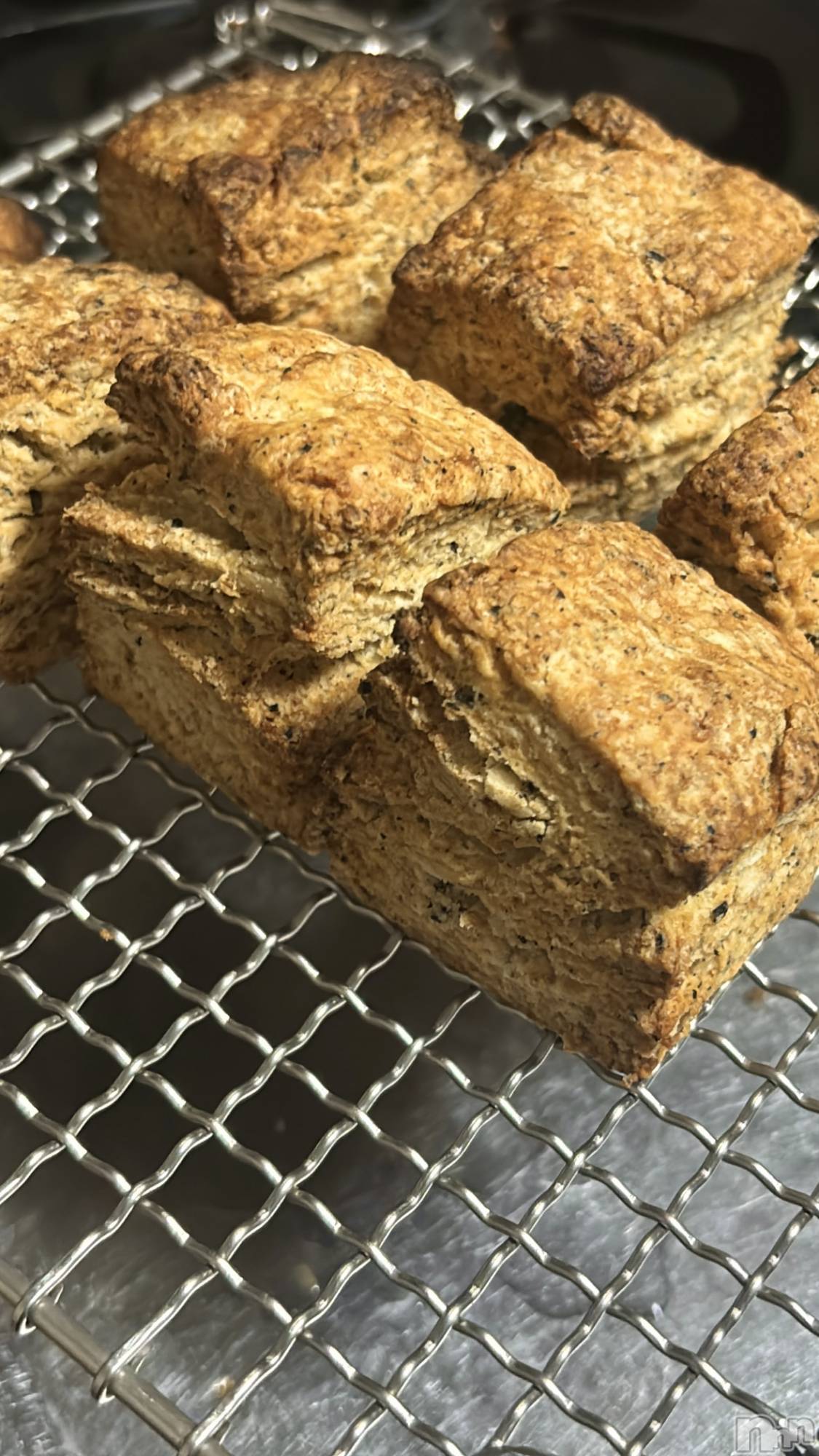 ���ܱ�������Х��顦����֥���� �ץ���� ����(����� �ץ���� �ޥĥ��) ��2026ǯ2��2���̥�֥�����🍳��