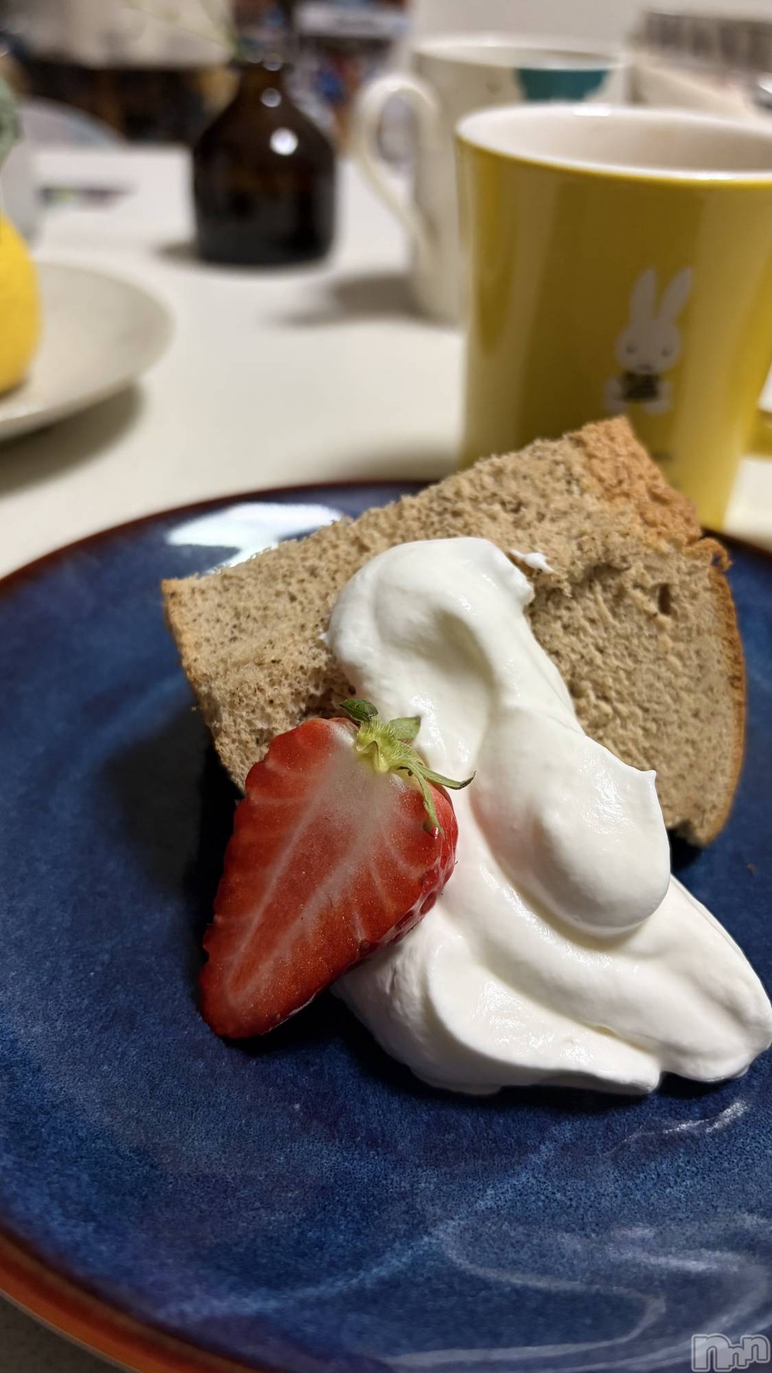 ���ܱ�������Х��顦����֥���� �ץ���� ����(����� �ץ���� �ޥĥ��) ��2026ǯ2��18���̥�֥�����🍰��