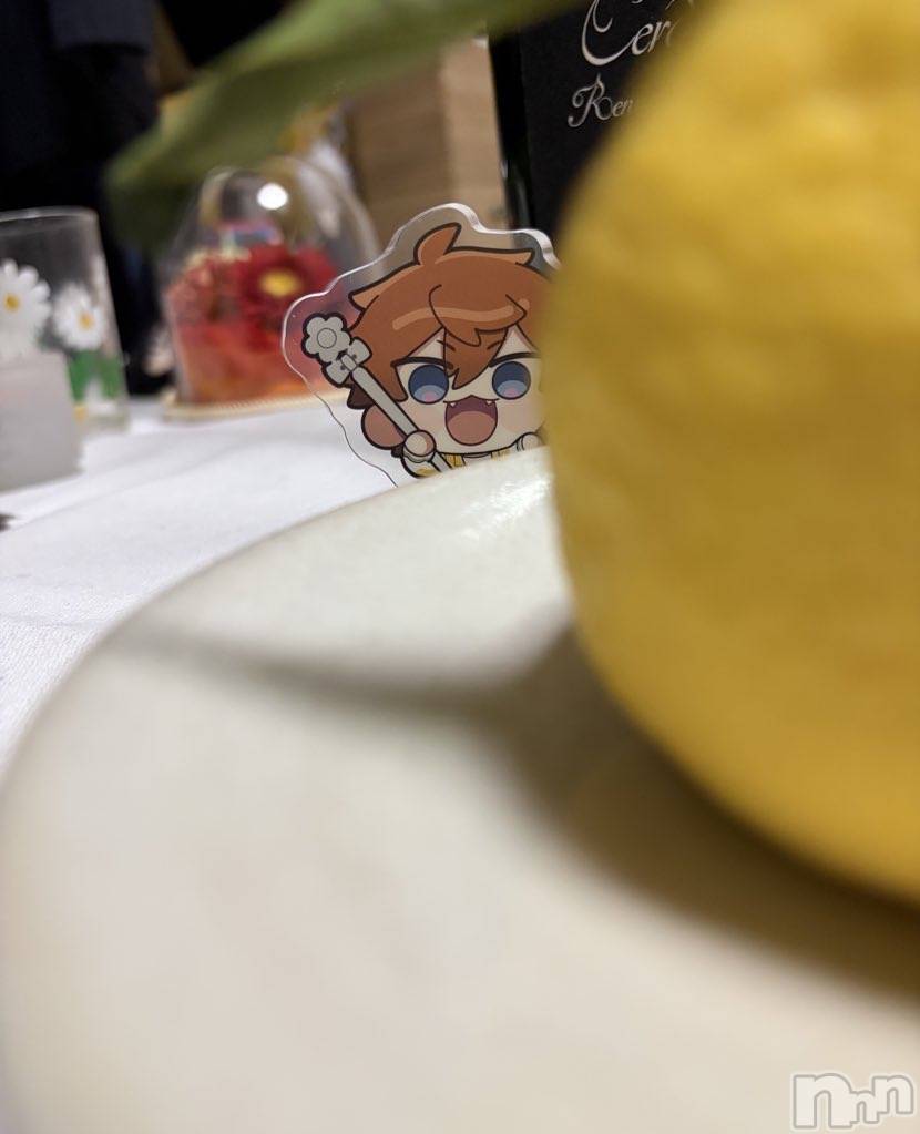 ���ܱ�������Х��顦����֥���� �ץ���� ����(����� �ץ���� �ޥĥ��) ��2026ǯ2��21���̥�֥�����🍊��