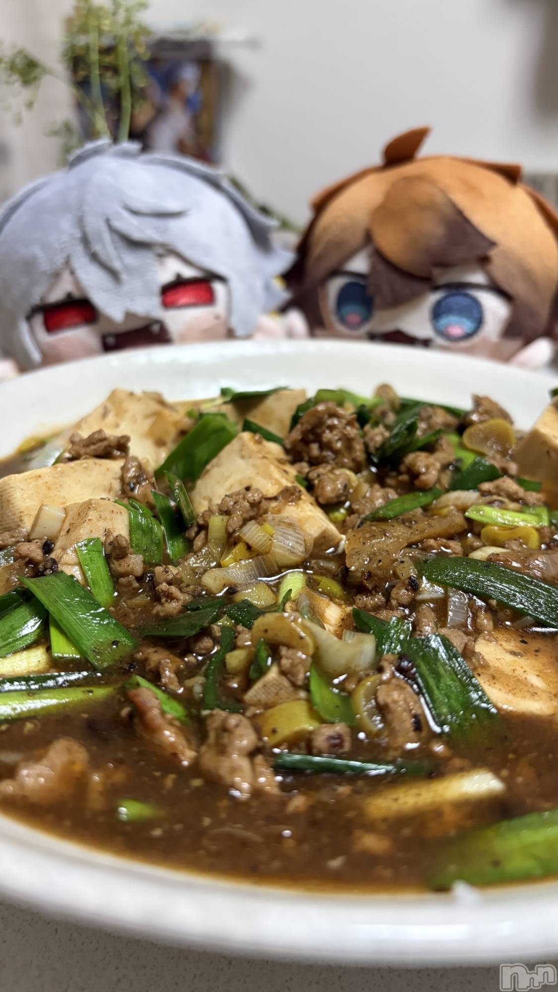 ���ܱ�������Х��顦����֥���� �ץ���� ����(����� �ץ���� �ޥĥ��) ��2026ǯ3��14���̥�֥�����🍚��