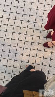 ܱХ顦֥ ץ ( ץ ޥĥ) 1021̥֥👠👡