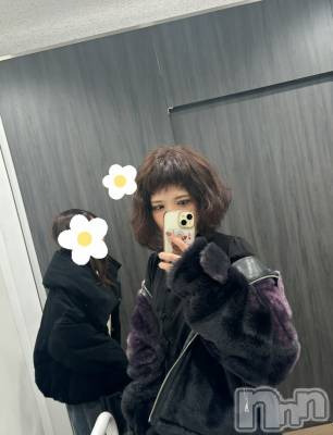 ܱХ顦֥ ץ ( ץ ޥĥ) 31̥֥👧