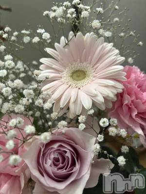 ܱХ顦֥ ץ ( ץ ޥĥ) 421̥֥🌸