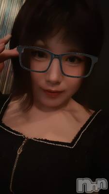 ܱХ顦֥ ץ ( ץ ޥĥ) 510̥֥👓